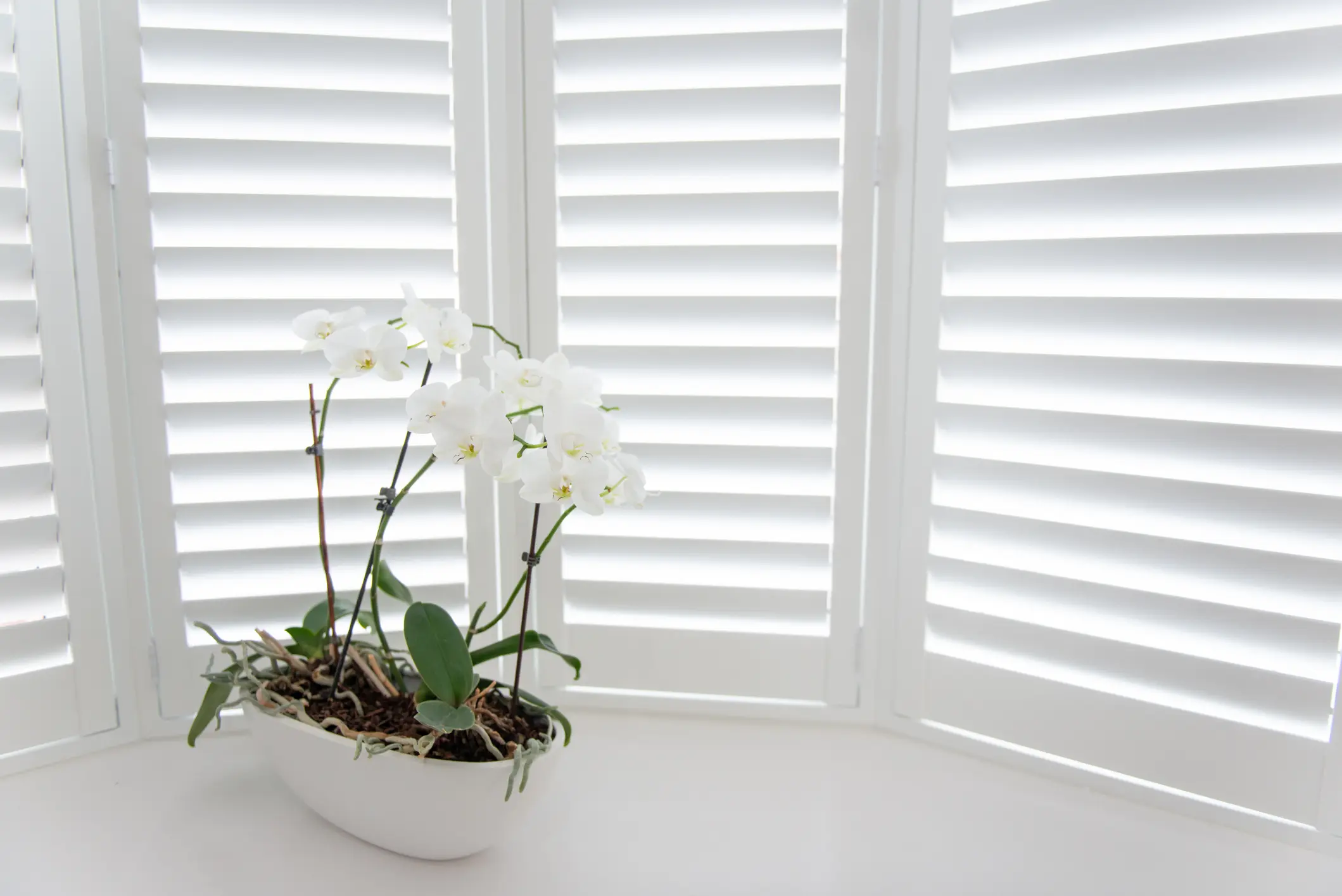 Exploring Popular Shutter Styles for Your Home - Styrofoam Moulding Company